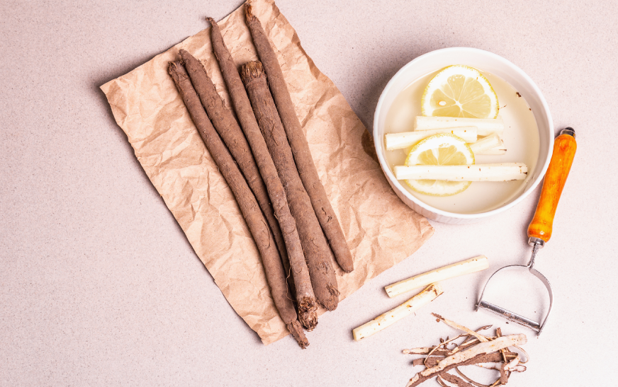 Health Benefits of Miswak in Modern Science