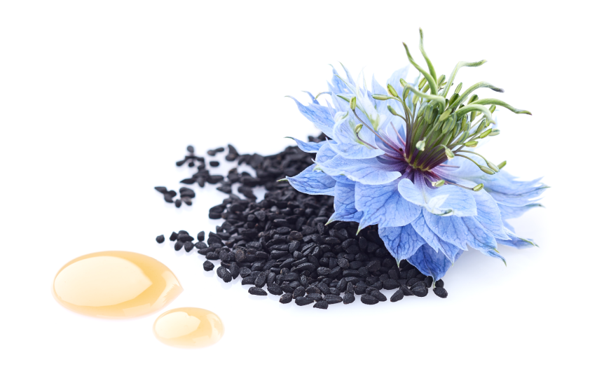 Scientific Benefits of Nigella Sativa