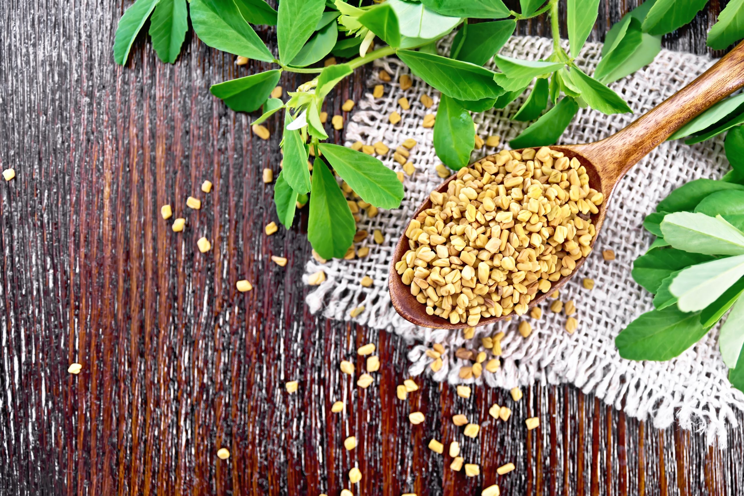 Fenugreek (Hulba): A Treasure of Nutrition and Healing