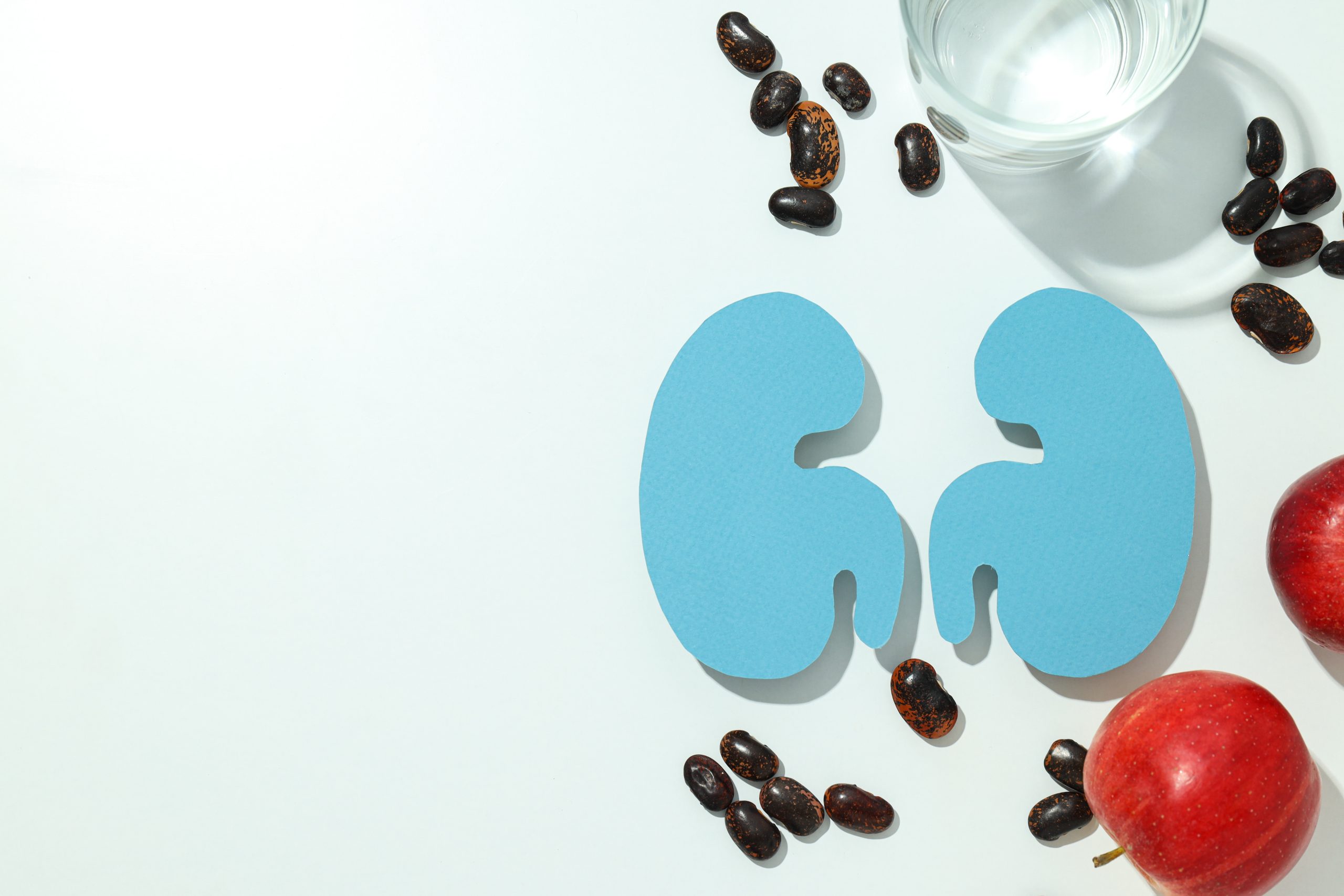 Kidney Health: Hydration Lessons from Islamic History